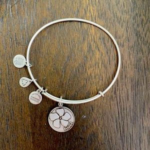 Friend Alex and Ani Bracelet